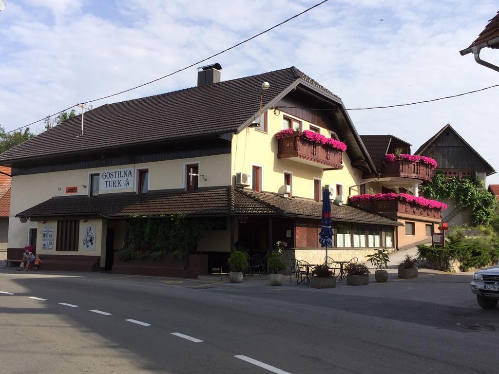 Gostilna Turk Hotel Hotedrsica Luaran gambar